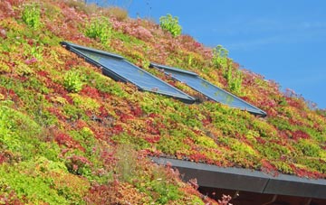Brockwell living roof systems